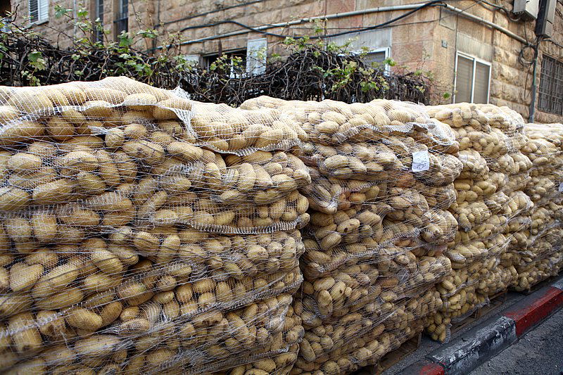 ירושלים כשרה לפסח: ההכנות לחג החרות בבירה, תיעוד ענק