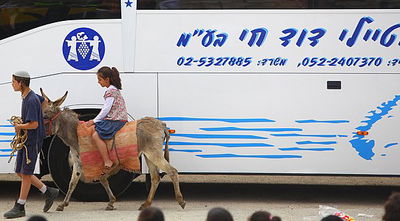 גלויה מרהיבה מחברון: רבבות מתפללים וחוגגים בעיר האבות