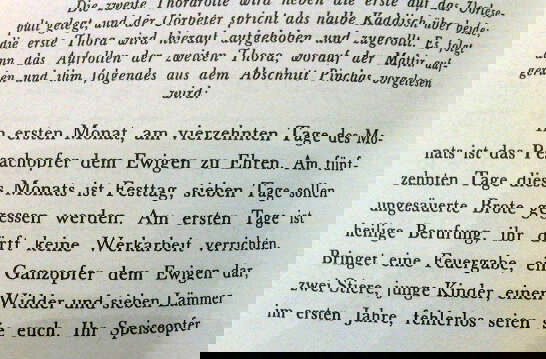 המתרגם שיבש את הסידור: "מקריבים ילדים במקדש"