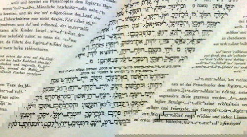 מסומן: הטעות החמורה