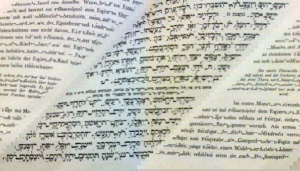 המתרגם שיבש את הסידור: "מקריבים ילדים במקדש"