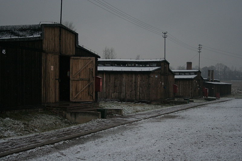 יום השואה: צלם "כיכר השבת" בתיעוד מיוחד מאושוויץ ומיידנק