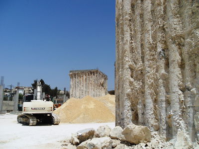 דוגמה חיה: אפשר גם בלי הפגנות