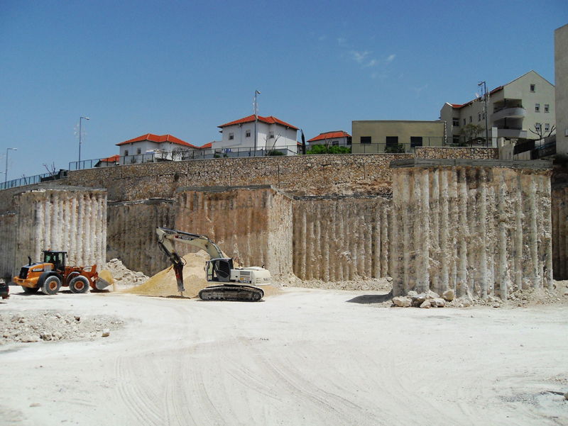 דוגמה חיה: אפשר גם בלי הפגנות