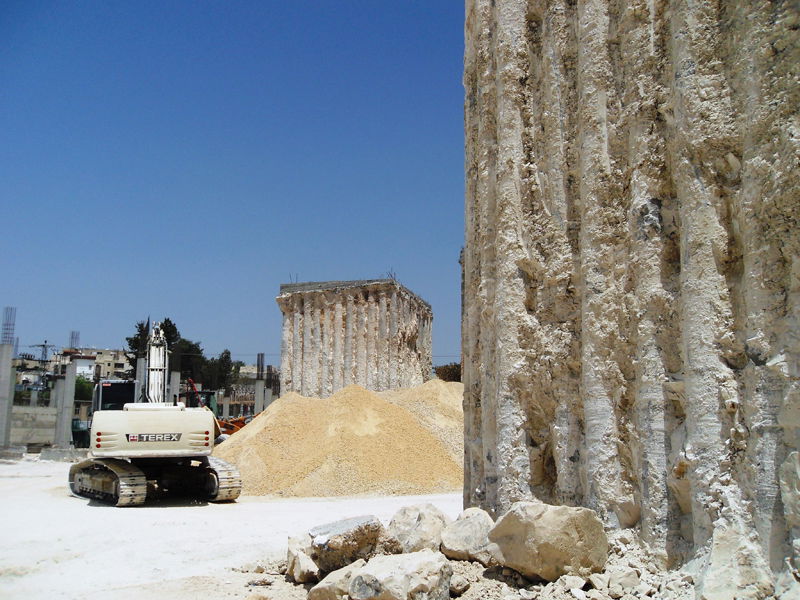 דוגמה חיה: אפשר גם בלי הפגנות