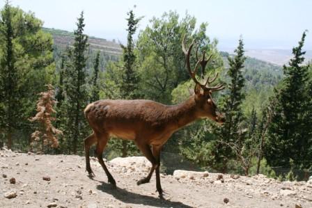 צאו לטייל: מסע מצולם בגוש עציון