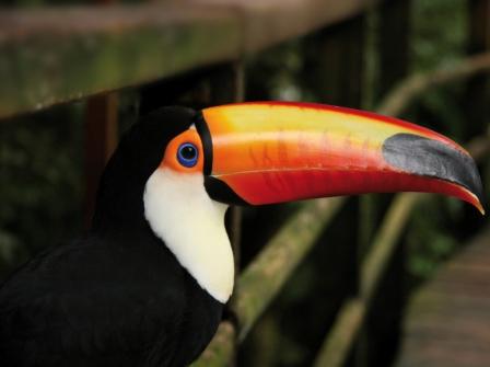 צאו לטייל: מסע מצולם בגוש עציון