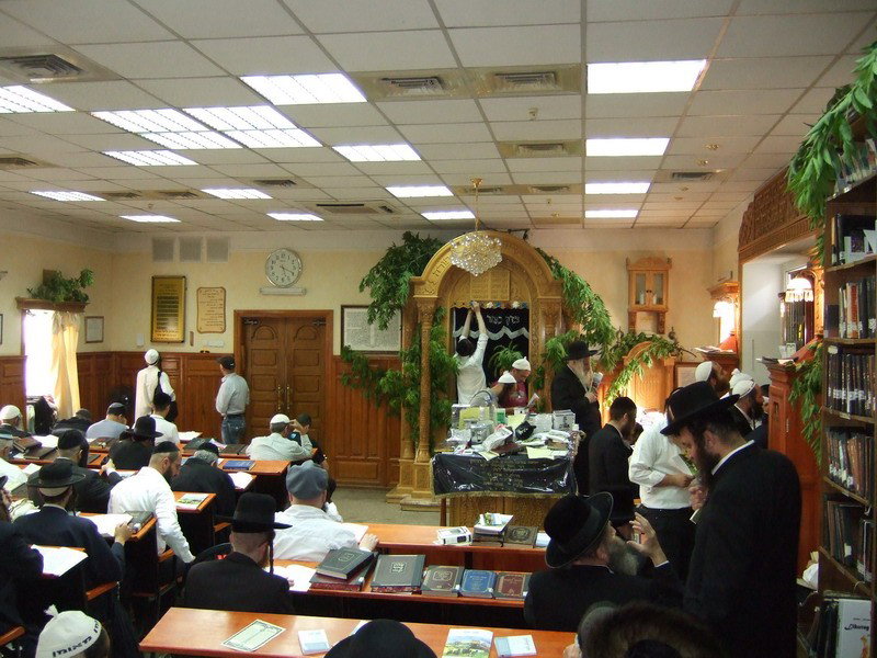 אלפים באומן: גלריה מערב חג-השבועות