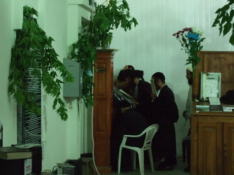 אלפים באומן: גלריה מערב חג-השבועות