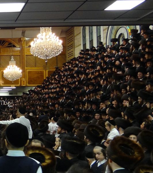 תיעוד מיוחד: "כאיש אחד" בסאטמר