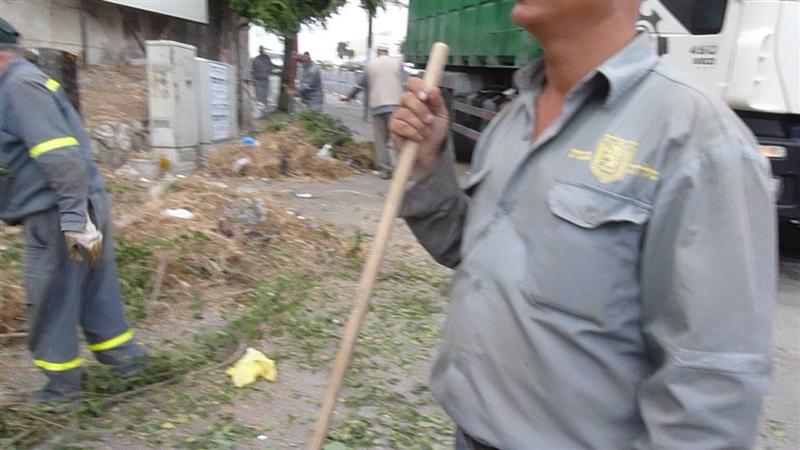 הערב: חסידי גור בשמחת נכד האדמו"ר