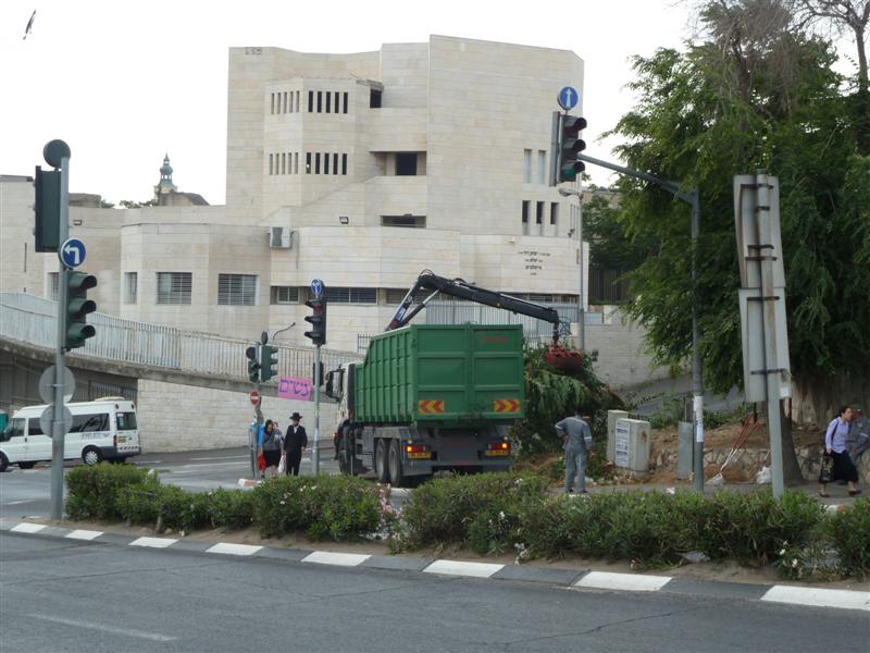 הערב: חסידי גור בשמחת נכד האדמו"ר