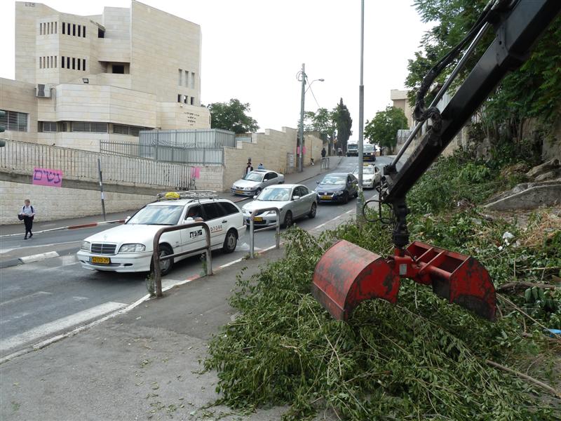 הערב: חסידי גור בשמחת נכד האדמו"ר