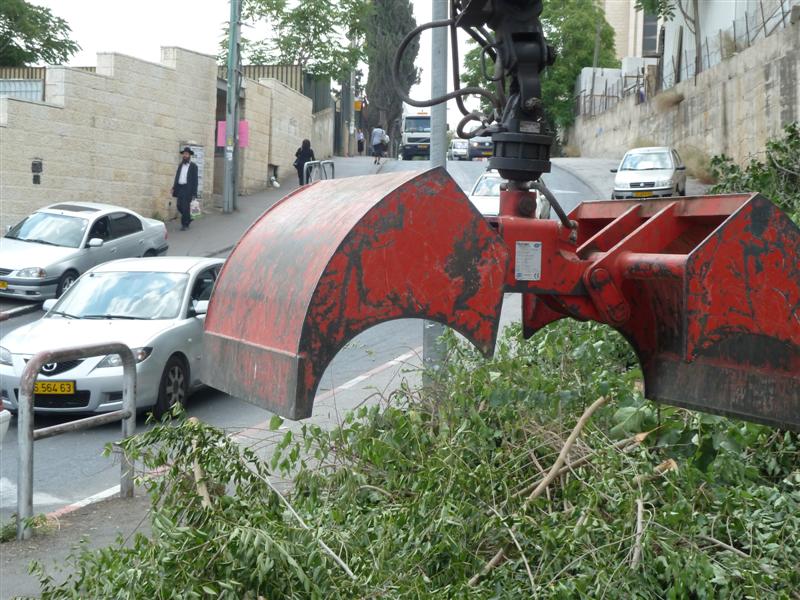 הערב: חסידי גור בשמחת נכד האדמו"ר
