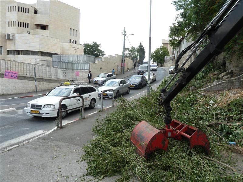 הערב: חסידי גור בשמחת נכד האדמו"ר