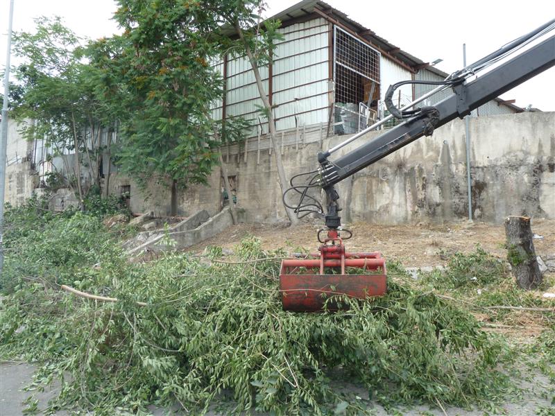 הערב: חסידי גור בשמחת נכד האדמו"ר