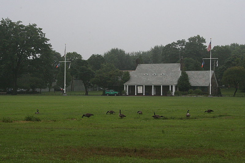 מגלה את אמריקה: מאיר אלפסי מטייל בארה"ב