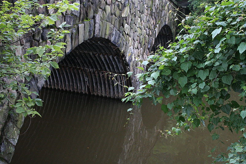 מגלה את אמריקה: מאיר אלפסי מטייל בארה"ב