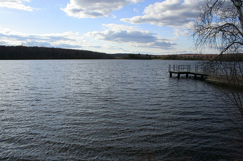 מגלה את אמריקה: מאיר אלפסי מטייל בארה"ב