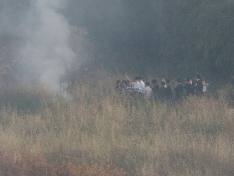 שוב הצתות בירושלים: "נתעד כל זירה"