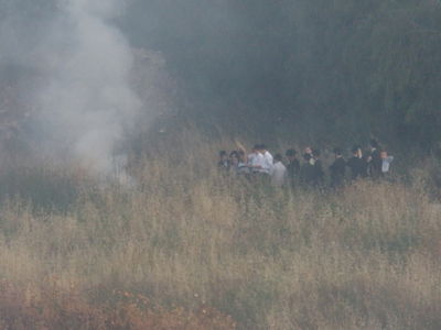 שוב הצתות בירושלים: "נתעד כל זירה"