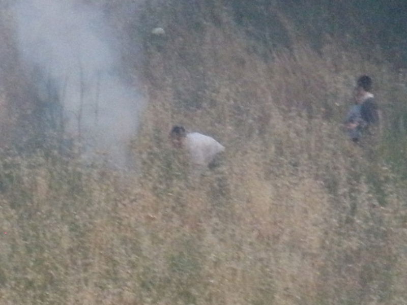 שוב הצתות בירושלים: "נתעד כל זירה"