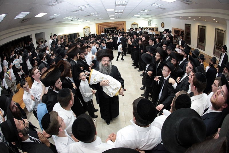 גלריה: הכנסת ס"ת לכולל ראצפערט-אלעד