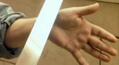 יממה לאחר "חוק השחיטה" בהולנד: צפו במסע לשחיטה היהודית