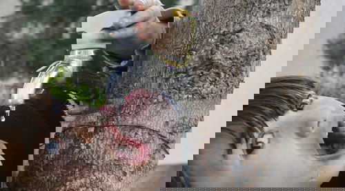 כל טיפה שווה כסף. ברז