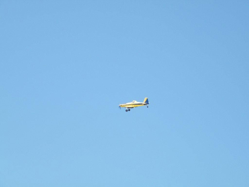 בהלה בצפת: שריפה סמוך לציון האר"י