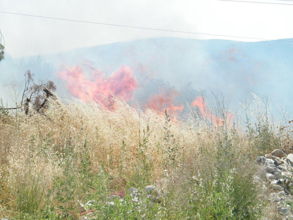 בהלה בצפת: שריפה סמוך לציון האר"י
