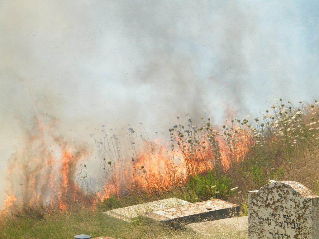 בהלה בצפת: שריפה סמוך לציון האר"י
