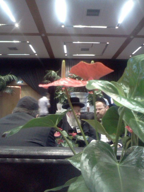 פיוס? "המודיע" לא דיווח על בואו של מנחם אליעזר מוזס