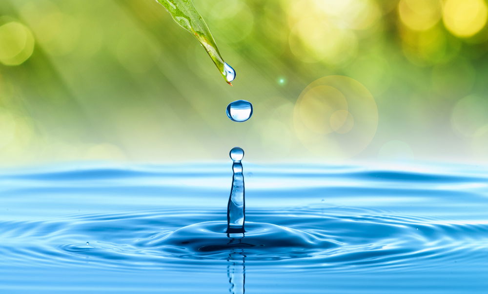 אילוסטרציה