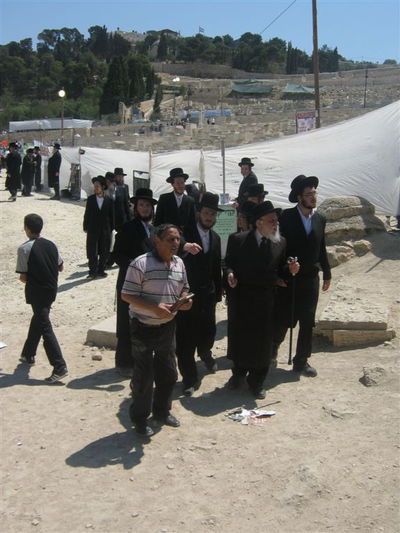 הילולת אור החיים: אלפים נוהרים לציון