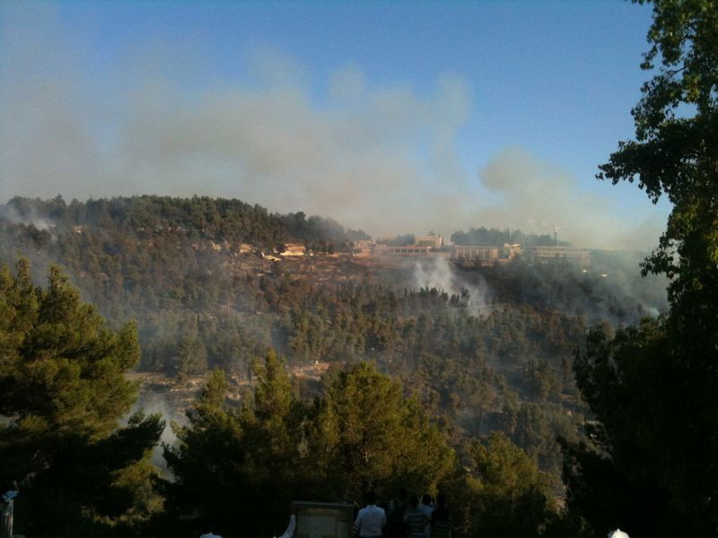 המשטרה: "התושבים באיזור השריפה יכולים לחזור לשגרה"
