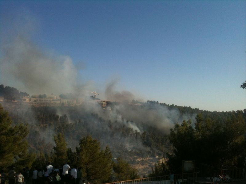 המשטרה: "התושבים באיזור השריפה יכולים לחזור לשגרה"