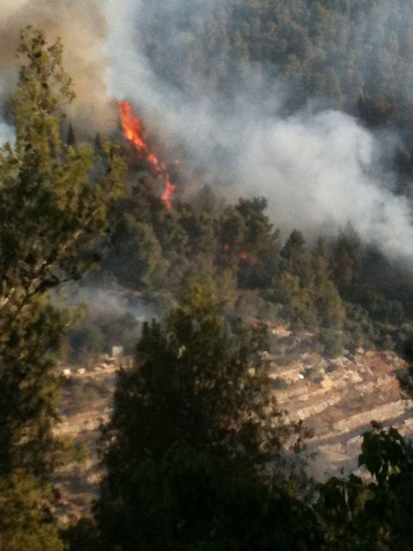 המשטרה: "התושבים באיזור השריפה יכולים לחזור לשגרה"