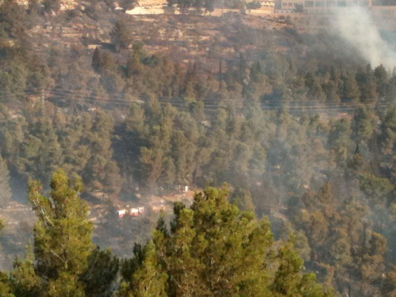 המשטרה: "התושבים באיזור השריפה יכולים לחזור לשגרה"