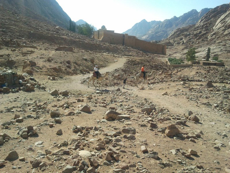 "כאן בדיוק", הצביע ה'מדריך', "עמד 'מוסא' וקיבל את התורה"