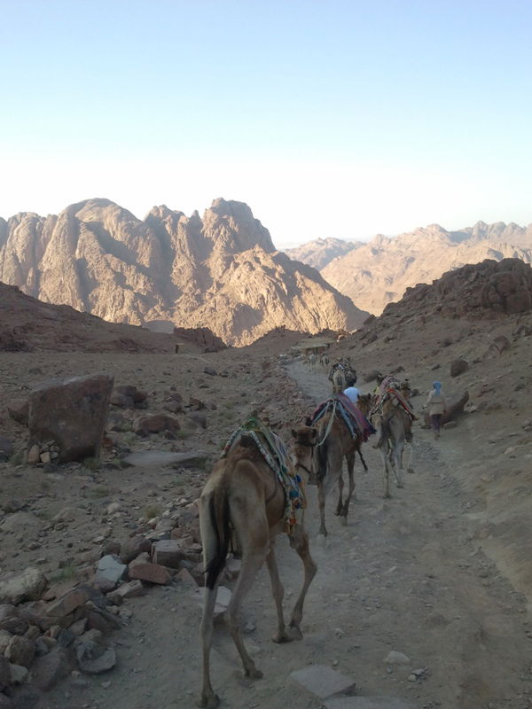 "כאן בדיוק", הצביע ה'מדריך', "עמד 'מוסא' וקיבל את התורה"