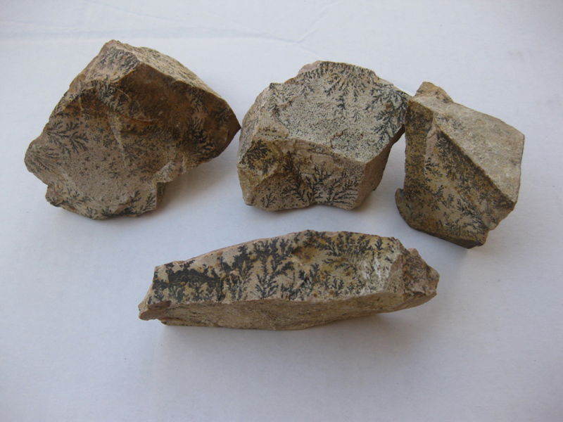 "כאן בדיוק", הצביע ה'מדריך', "עמד 'מוסא' וקיבל את התורה"