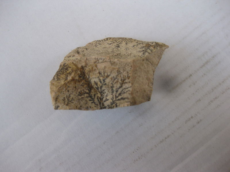 "כאן בדיוק", הצביע ה'מדריך', "עמד 'מוסא' וקיבל את התורה"