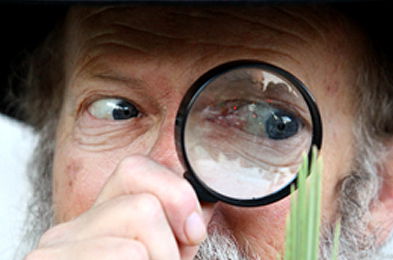 שלא יעבדו עליכם: תם עידן האותיות הקטנות