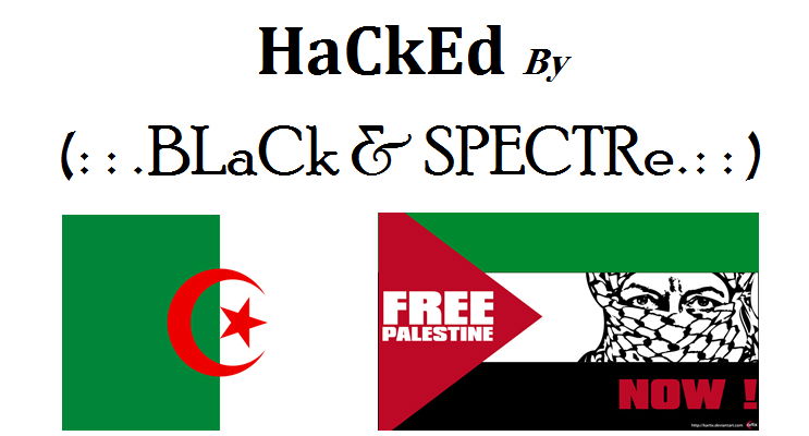 ערבים פרצו לאתר של צלם 'כיכר השבת' מאיר אלפסי