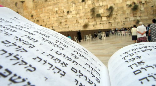 התפללו: האדמו"ר מספינקא-ירושלים במצב קשה