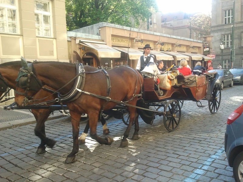 יעקב וידר מציג: חמישה ימים מסביב לפראג - בירת צ'כיה
