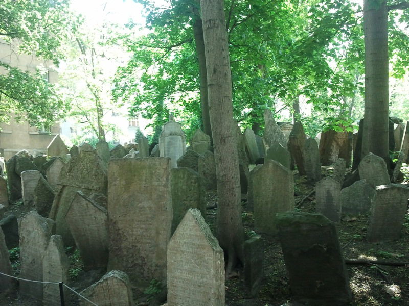 יעקב וידר מציג: חמישה ימים מסביב לפראג - בירת צ'כיה