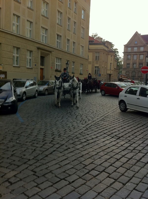 יעקב וידר מציג: חמישה ימים מסביב לפראג - בירת צ'כיה