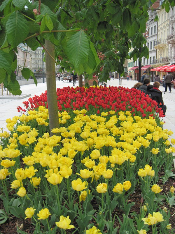 יעקב וידר מציג: חמישה ימים מסביב לפראג - בירת צ'כיה